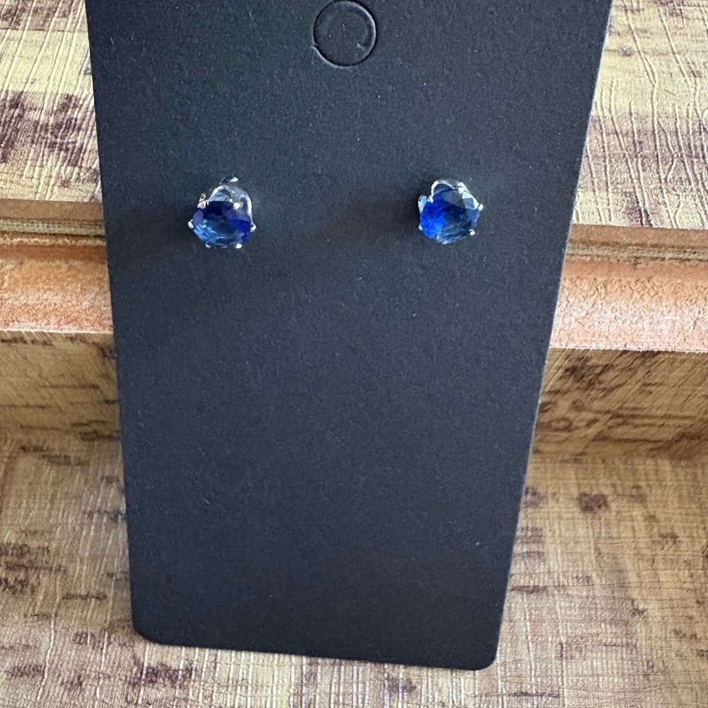Source Unknown Blue and Silver Gemstone Earrings